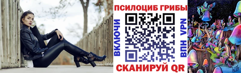 mega рабочий сайт  Терек  Галлюциногенные грибы Psilocybe  купить наркотики цена 
